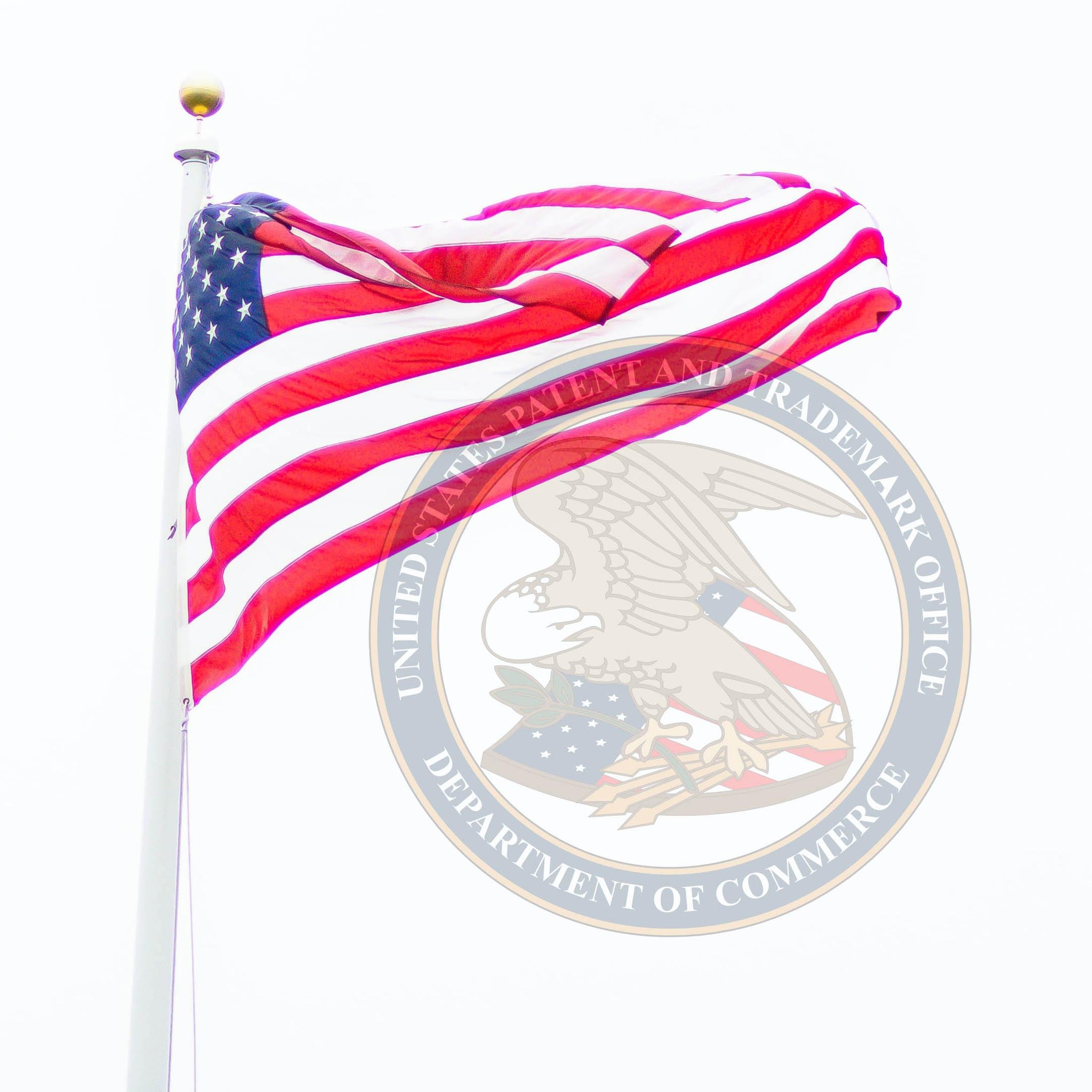 US Patent