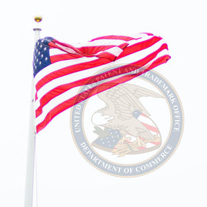 US Patent
