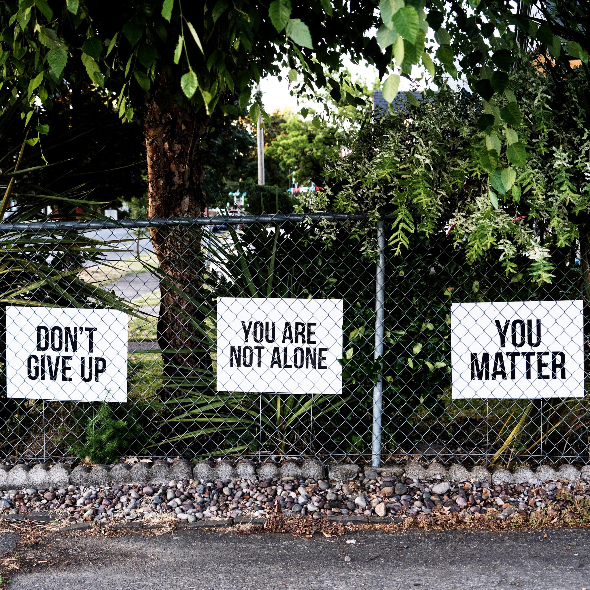 What Mental Health Experts Know About Treatment for Mental Health In America 