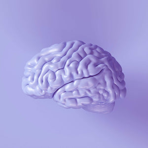 Shop for Memory Health: The Premium Nootropic for Brain Health